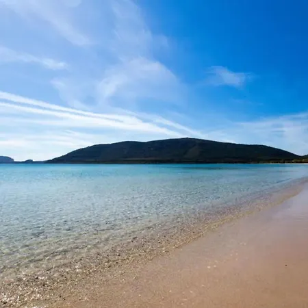 Comfortable Flat Near