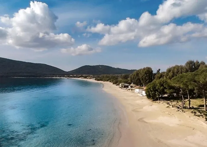 Comfortable Flat Near Alghero