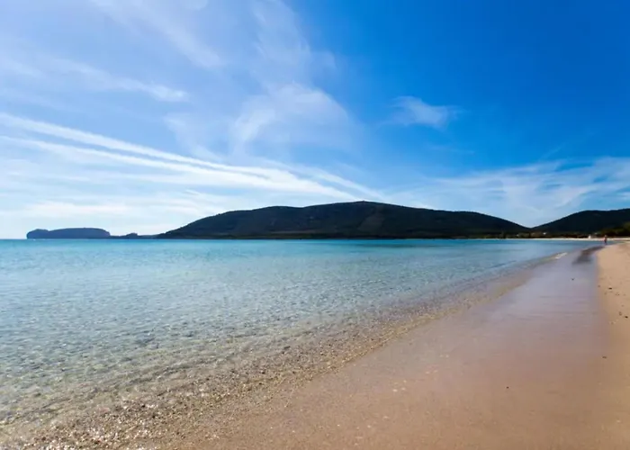 Comfortable Flat Near